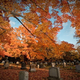 Illustration for article titled 611 Reasons Fall Is the Most Beautiful Season of All